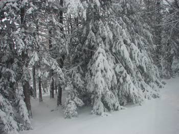 adirondack image wintewr snow