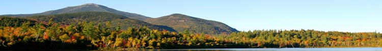 adirondack real estate for sale